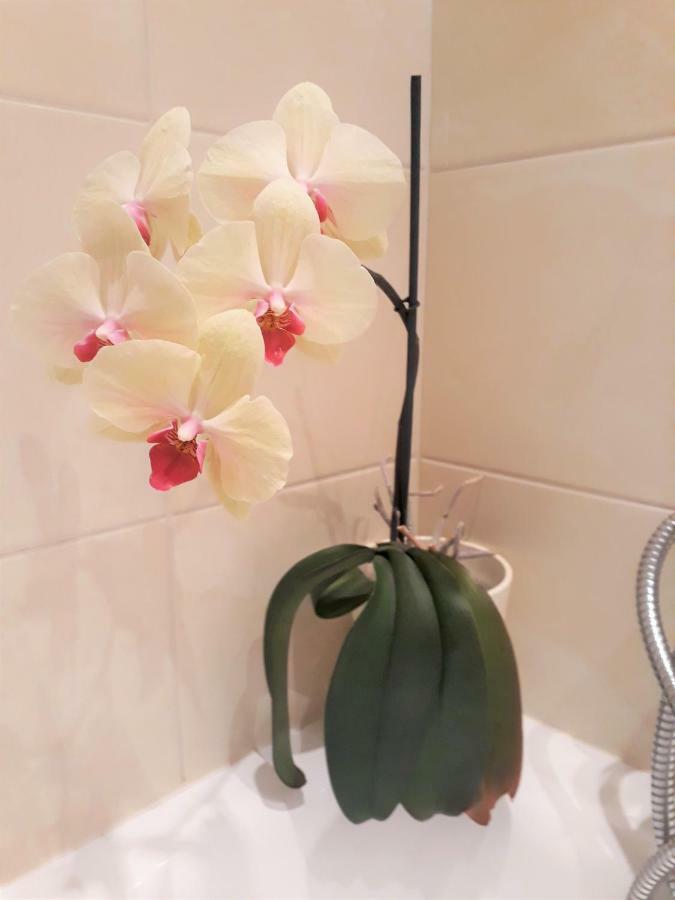Apartament Opera * Zoppot